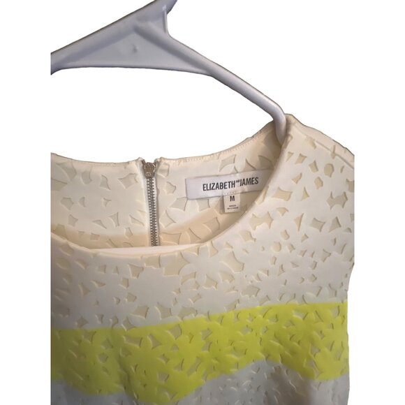 ELIZABETH & JAMES Chelle Flocked Shift Dress Size Medium - Picture 3 of 4